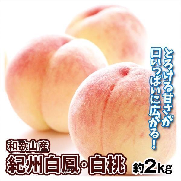 matuko白桃・黄金桃 4本セット 白鳳　大久保 matuko白桃・黄金桃 4本セット 白鳳 大久保 fruits-line_peach-1