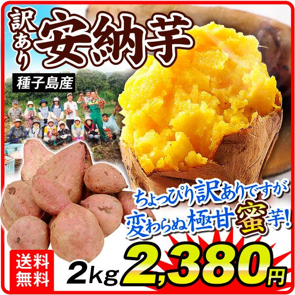 さつまいも 生芋 2kg 種子島産 訳あり 安納芋 規格外 あんのう 蜜芋 たねがしま 薩摩芋 送料無料 食品 F 花と緑 国華園 通販 Yahoo ショッピング