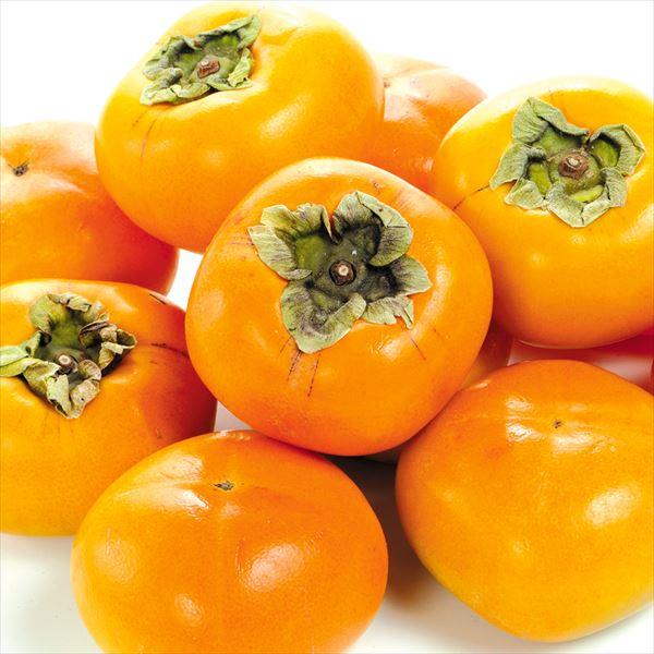 柿 7 5kg 和歌山産 ひらたね柿 干柿用渋柿 送料無料 食品 F 花と緑 国華園 通販 Yahoo ショッピング