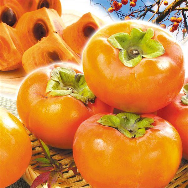 柿 7 5kg 和歌山 奈良産 大特価 富有柿 送料無料 食品 F 花と緑 国華園 通販 Yahoo ショッピング