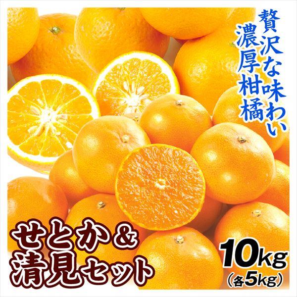 みかん せとか&清見オレンジセット 2種10kg 送料無料 食品 : 花と緑 国