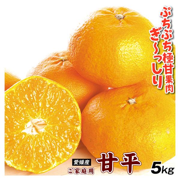 みかん 愛媛産 ご家庭用 甘平 5kg かんぺい 愛媛限定 送料無料 みかん 愛媛産 ご家庭用 甘平 5kg かんぺい 愛媛限定 送料無料