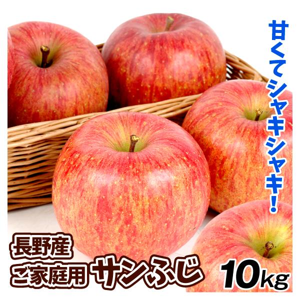 サンふじ１０キロ家庭用！ りんご 10kg サンふじ 青森産 ご家庭用 送料無料 食品 : 花と緑 国華園