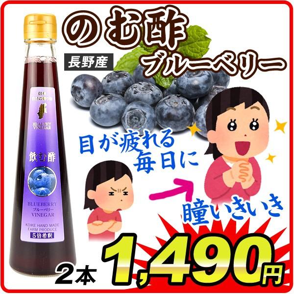 長野産 飲む酢ブルーベリー２本 グルメ 食品 国華園 F85554 花と緑 国華園 通販 Yahoo ショッピング