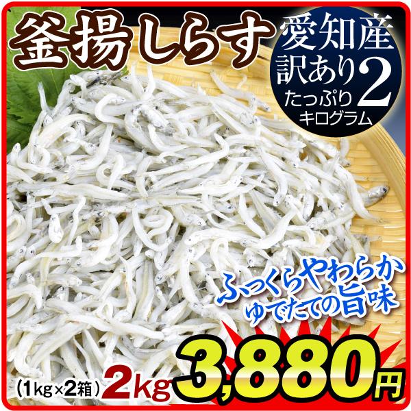 しらす 冷凍 その他の魚介類の人気商品 通販 価格比較 価格 Com