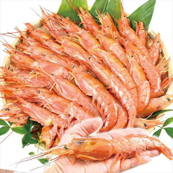 国華園 特大 有頭 天然赤えび 刺身用 2kg 食品