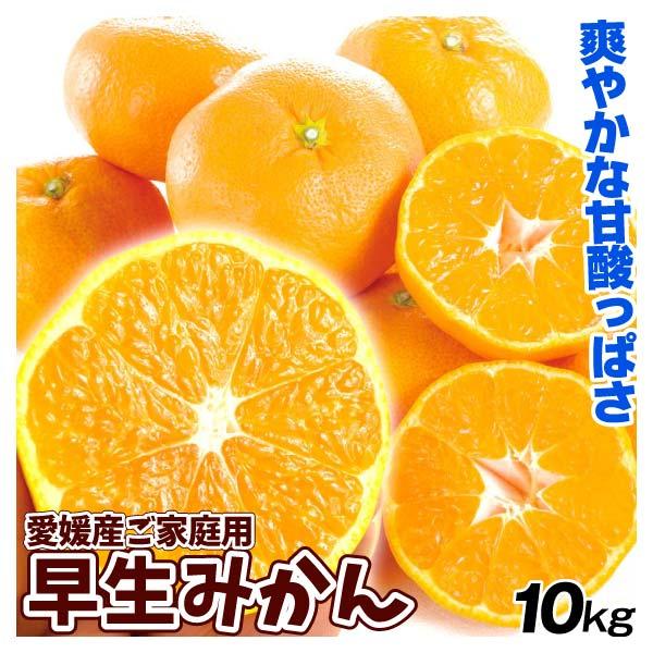 みかん 10kg ご家庭用 早生みかん 愛媛産 温州 ミカン 送料無料 食品