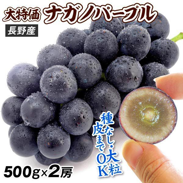 ぶどう 約1kg ナガノパープル 長野産（約500g×2房）種なし 皮ごとOK