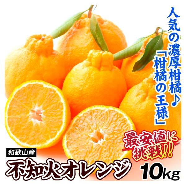 みかん 和歌山産 不知火オレンジ 10kg ご家庭用 数量限定 送料 みかん 和歌山産 不知火オレンジ 10kg ご家庭用 数量限定 送料