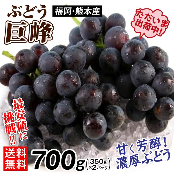 ぶどう 約700g 超早出し 巨峰 熊本産 福岡産 訳あり きょほう 350g