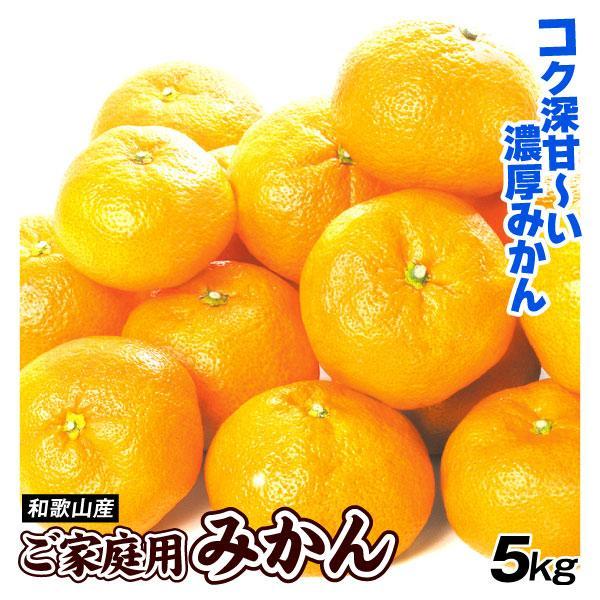 みかん 5kg 和歌山産 ご家庭用 (11月中旬〜発送) 温州 ミカン 送料無料