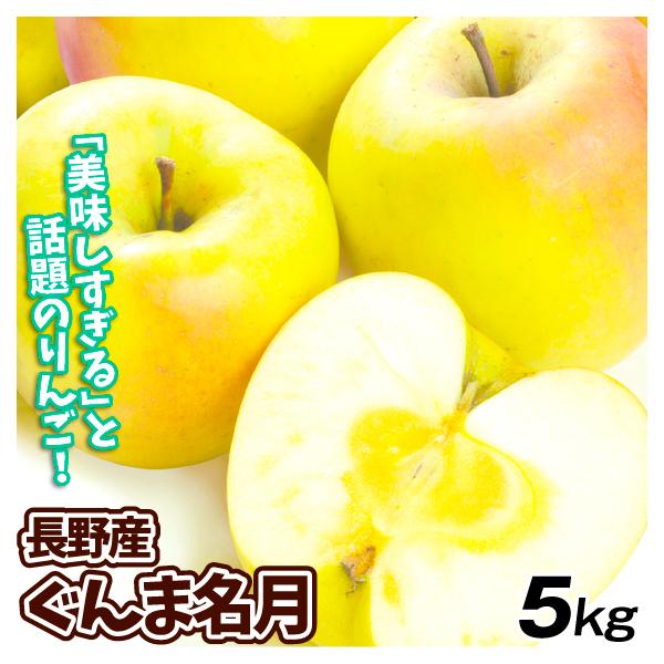 りんご 5kg ぐんま名月 長野産 ご家庭用 林檎 果物 送料無料 食品 : 花