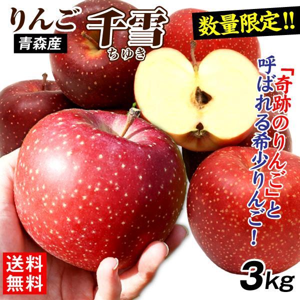 りんご 3kg 青森産 千雪 ちゆき （数量限定） 希少品種 ご家庭用 送料