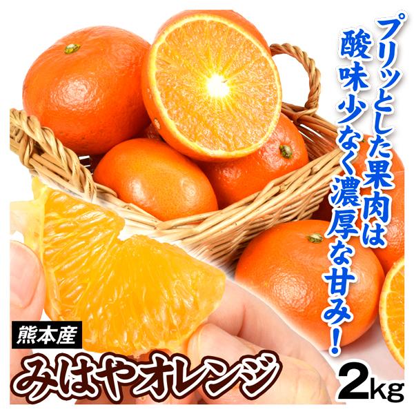 みかん 2kg みはやオレンジ 熊本産 みはや 蜜柑 ご家庭用 柑橘