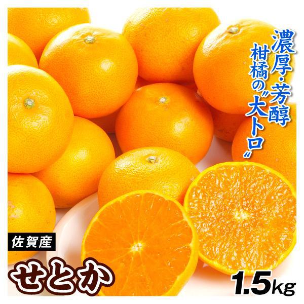 みかん 1.5kg せとか 佐賀産 ご家庭用 柑橘 送料無料 食品 国華園 爆買