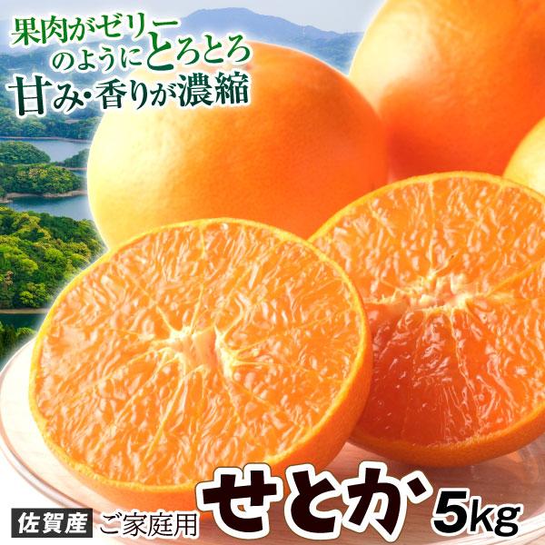 216 佐賀県産 希少な 紅みかん 5kg×2箱 小玉(S以下) 家庭用〜優品 小原紅 みかん L-2Lサイズ 約5kg 香川県 奇跡のみかん 小原紅早生金時