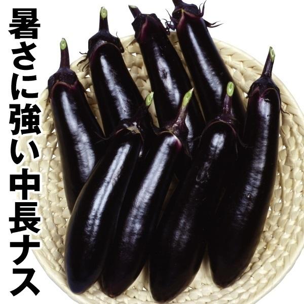 種 野菜たね ナス F1栄作 1袋 1ml 野菜のタネ 野菜 種子 なす 茄子 なすび Ytsc99 国華園 P11s6 6137 花と緑 国華園 通販 Yahoo ショッピング
