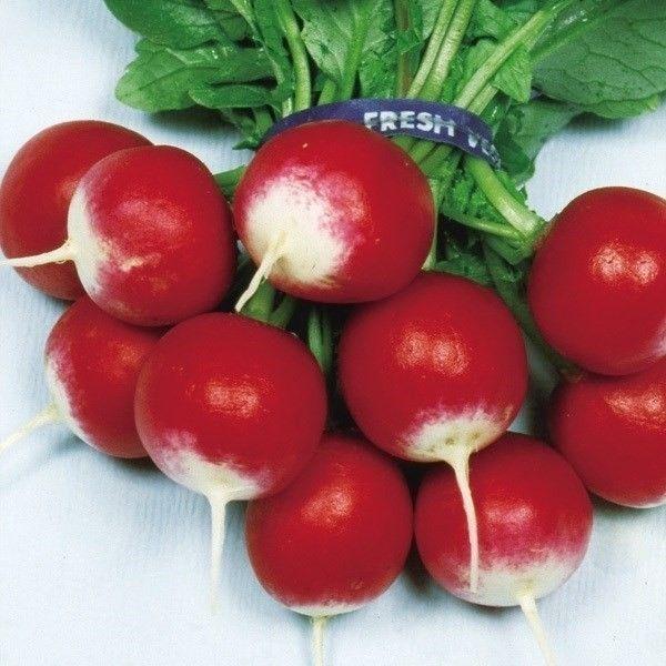 ●商品情報：2色使いがかわいくサラダの彩り等に大人気！ ビタミンCたっぷり。●根長（約）：3cm●お届け状態：種子●入り数の目安：10mlあたり約200〜400粒※入り数は目安です。品種により差があります。●発芽適温：15〜30℃※発芽させ...