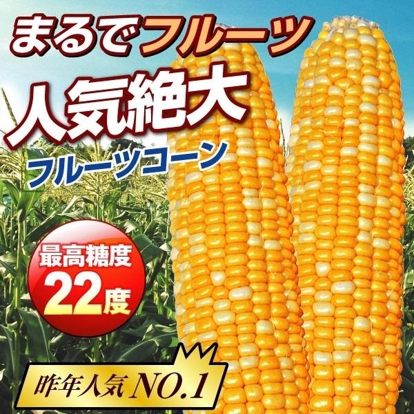 トウモロコシ たね 種 F1ハーモニーフェスタ 1袋 50ml 野菜たね 野菜のタネ 野菜 種子 コーン スイートコーン Ytc85 国華園 P11s6 6447 花と緑 国華園 通販 Yahoo ショッピング
