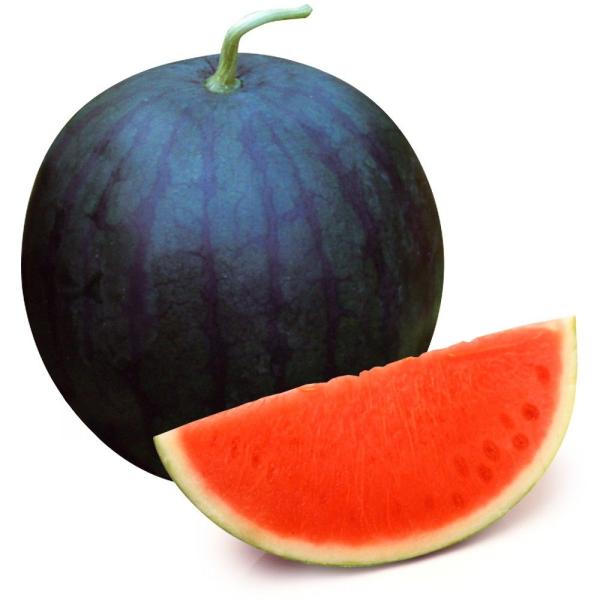 種なし スイカ 種の人気商品 通販 価格比較 価格 Com