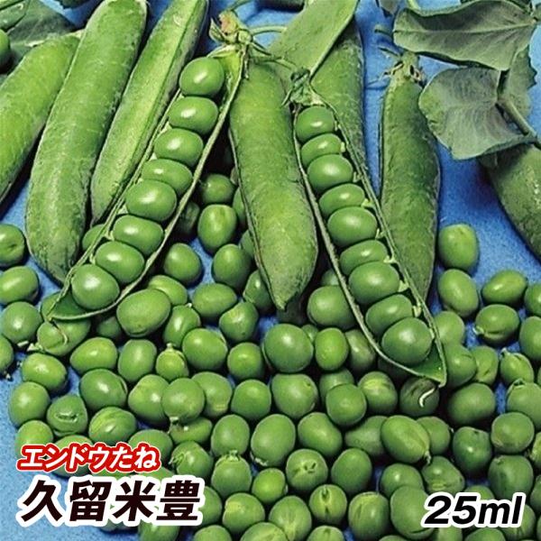 種 野菜たね マメ 実エンドウ 久留米豊 1袋（25ml） くるめゆたか 豌豆