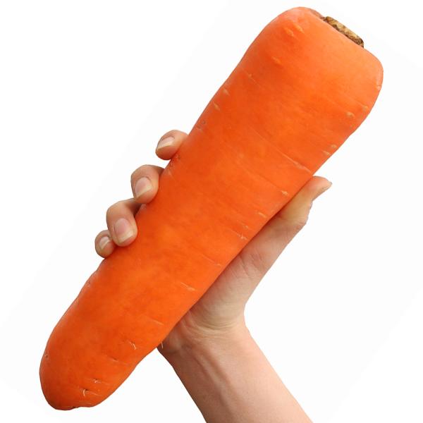 種 野菜たね ニンジン F1ジャンボキャロット 1袋（コート種子 200粒