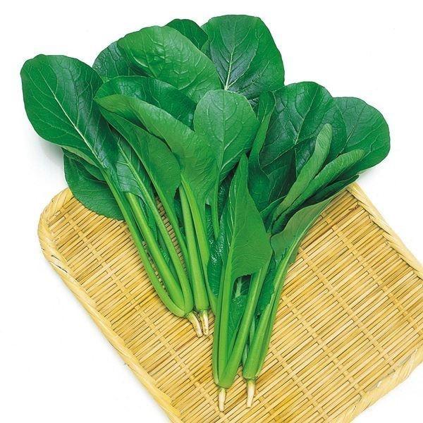 小松菜 コマツナ タネ 菜類 F1美味しい小松菜 1袋 10ml 種 野菜たね Ytc66 P6c 4 花と緑 国華園 通販 Yahoo ショッピング
