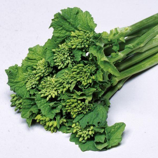 花菜 はなな タネ 菜類 F1極早生はなな 1袋 5ml 種 野菜たね Ytc62 P6c 501 花と緑 国華園 通販 Yahoo ショッピング
