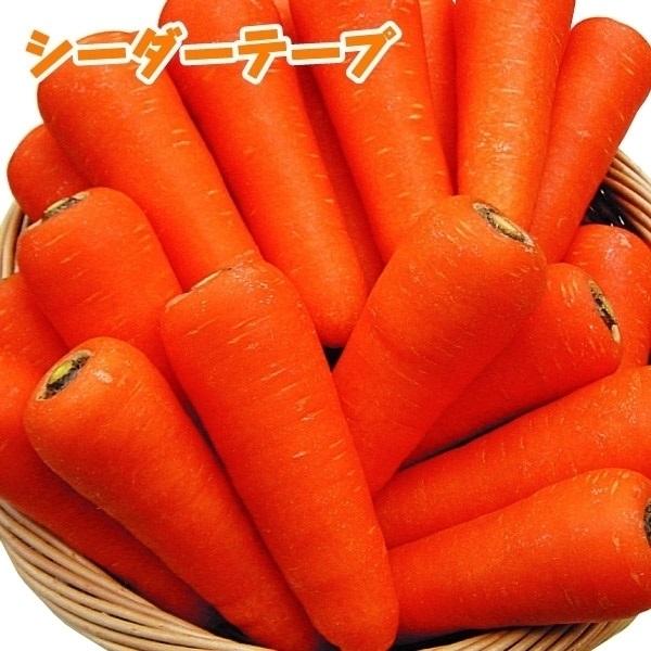 90%OFF!】【90%OFF!】ニンジン 種 たね F1紅美人 1袋(5ml) 人参 野菜たね YTC25 根菜、豆類、もやし ニンジン 種 たね シーダーテープ 祝紅金時 1袋(10m) 人参 野菜たね YTC23
