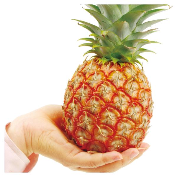 パイナップル 白の人気商品 通販 価格比較 価格 Com