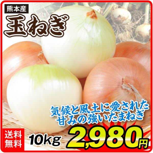 たまねぎ 大特価 熊本産 たまねぎ 10kg 1組 野菜 国華園 S Fs2712 花と緑 国華園 通販 Yahoo ショッピング
