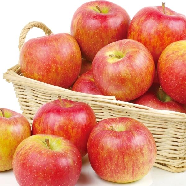 りんご 青森産 北斗 5kg 1箱 送料無料 食品 国華園 S Fs2927 花と緑 国華園 通販 Yahoo ショッピング