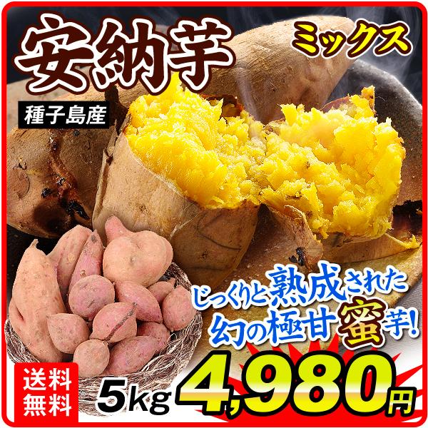 さつまいも 5kg 安納芋ミックス 種子島産 ご家庭用 送料無料 食品 : s