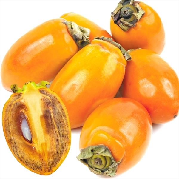 柿 愛知産 筆柿 脱渋済み渋柿 7kg 送料無料 食品 S Fs3028 花と緑 国華園 通販 Yahoo ショッピング