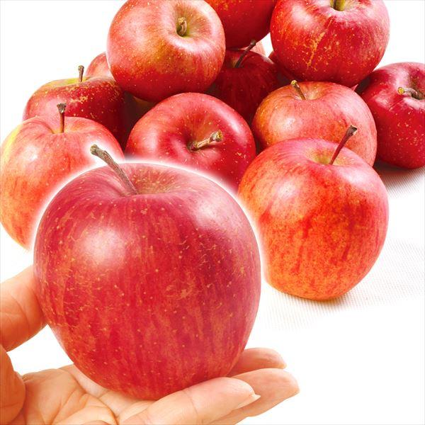 りんご 約kg 木箱 青森産 ちびふじ 100 1玉 小玉 食べ切りサイズ 送料無料 林檎 フルーツ食品 国華園 S Fs3137 1 花と緑 国華園 通販 Yahoo ショッピング