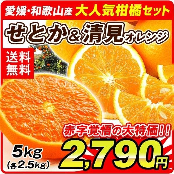 みかん せとか 清見オレンジ 大人気柑橘セット 2種5kg 愛媛 和歌山県産 ご家庭用 せとか きよみ 柑橘 国華園 S Fs3364 花と緑 国華園 通販 Yahoo ショッピング