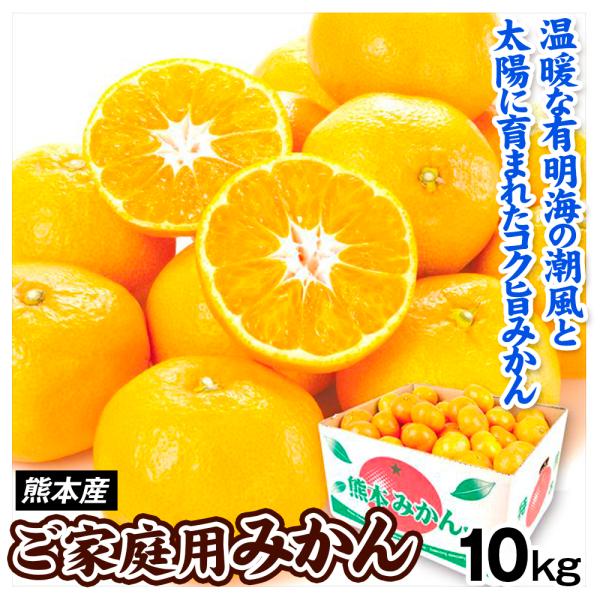 みかん ご家庭用 熊本産みかん 10kg 熊本 蜜柑 柑橘 フルーツ 果物 食品 国華園 S Fs3432 花と緑 国華園 通販 Yahoo ショッピング