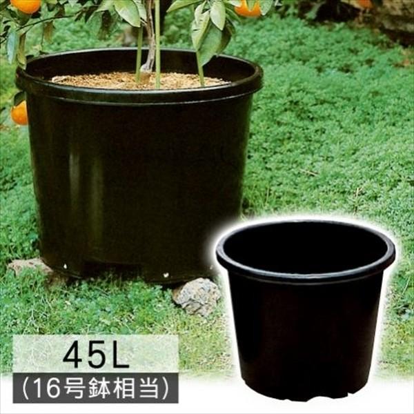  Aؔ rbO45L^  20g s ؉