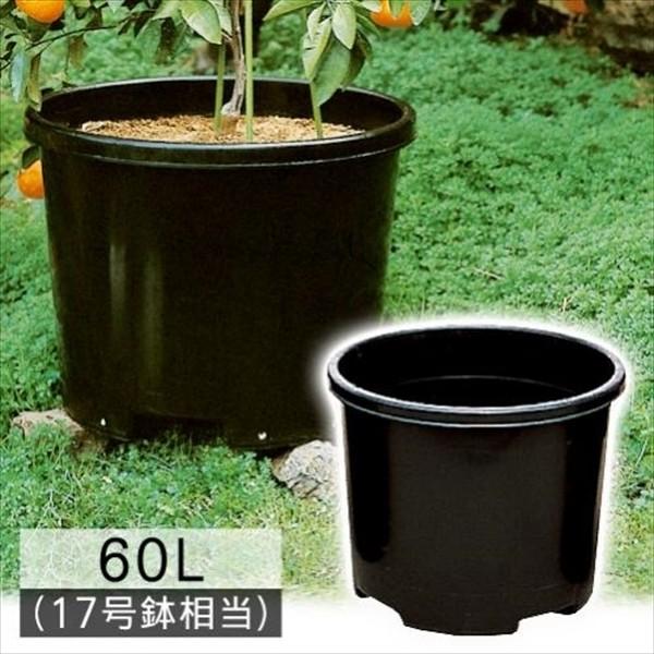  Aؔ rbO60L^  20g s ؉