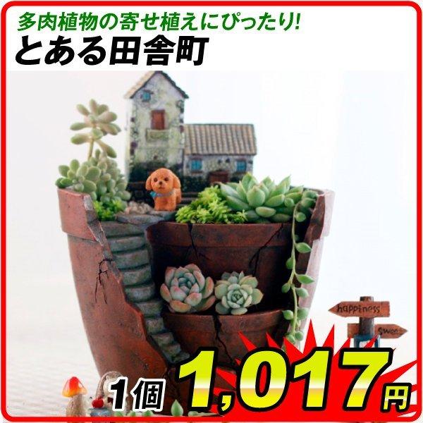 鉢 植木鉢 ポリ製 多肉植物 寄せ植え かわいい プチオアシス・と 鉢 植木鉢 ポリ製 多肉植物 寄せ植え かわいい プチオアシス・と