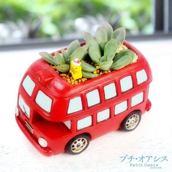 鉢 植木鉢 ポリ製 多肉植物 寄せ植え かわいい プチオアシス ロンドンバス 1個 女性 プレゼント 国華園 S 花と緑 国華園 通販 Yahoo ショッピング