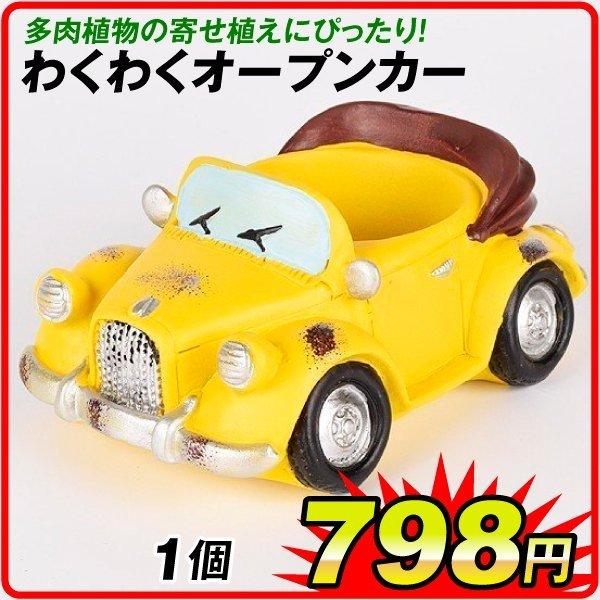 鉢 植木鉢 ポリ製 多肉植物 寄せ植え かわいい プチオアシス わくわくオープンカー 1個 女性 プレゼント 国華園 S 花と緑 国華園 通販 Yahoo ショッピング