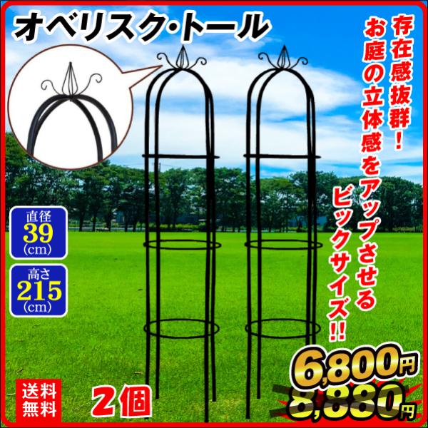 オベリスク トール 2個組 直径40 高さ215 ガーデニング 誘引 アイアン 鉄製 国華園 S1247 花と緑 国華園 通販 Yahoo ショッピング