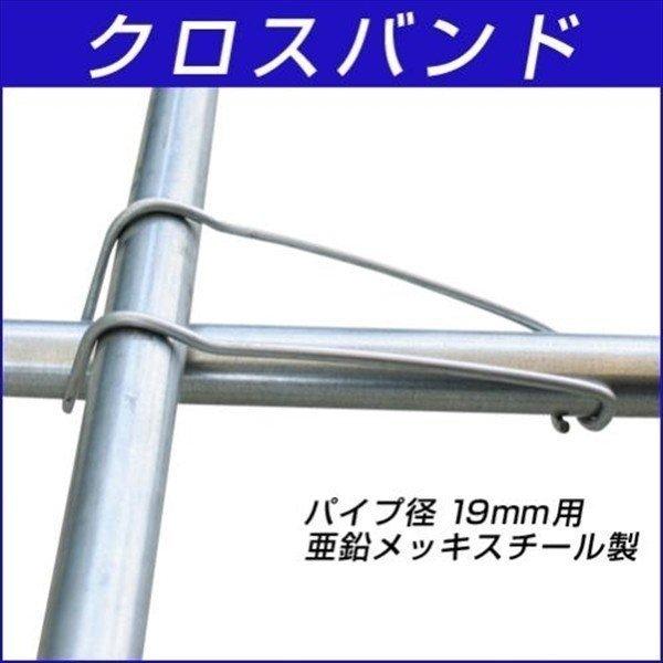 |x x pCvx pCvNXoh 101g ؉