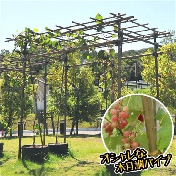 パーゴラ 果樹棚 くだもの棚 藤棚 フルーツパーゴラ L 1個 （代引不可