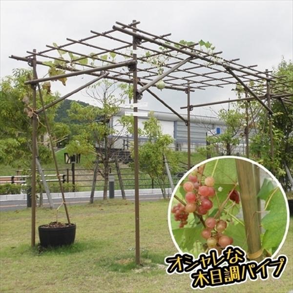 パーゴラ 果樹棚 くだもの棚 藤棚 フルーツパーゴラ DX 1個 （代