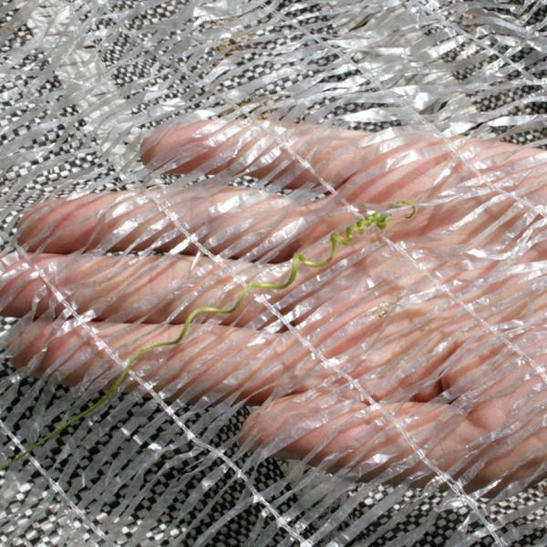 農業用マルチシート 敷きわら 敷きワラシルバー 2m×50m 1巻1組 農用 藁 ワラ風シート マルチング 被覆資材 ポリエチレン 透水 防虫 国華園 /【Buyee】 農業用マルチシート 敷きわら 敷きワラシルバー 2m×50m 1巻1組 農用 藁 ワラ風シート マルチング 被覆資材 ポリエチレン 透水 防虫 国華園 /【Buyee】
