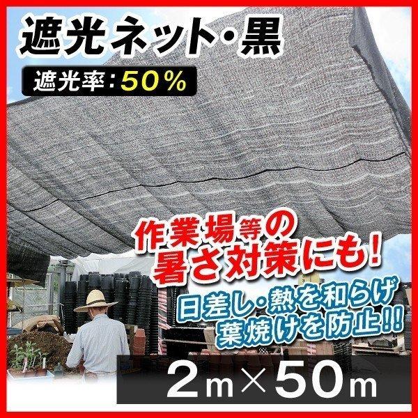 悯 Ռlbg(Ռ:50%) 2×50m 11g@TVF[h I[jO  ΍ _Ɨp _Ǝ ؉