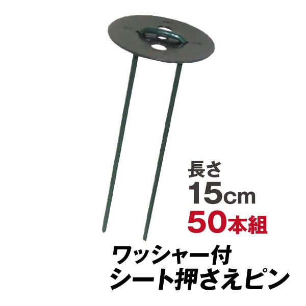 200個セット〕 おばけの貼りつくスポンジ ガンコ用 BX805 通販 〔200個セット〕 おばけの貼りつくスポンジ ガンコ用 BX805