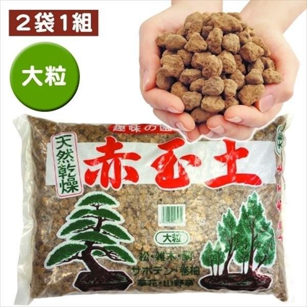 ㎿ԋʓy 嗱16L 21g |y ؉